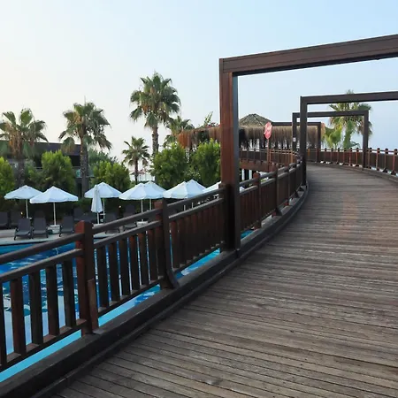 Sherwood Dreams (adults Only) 5*